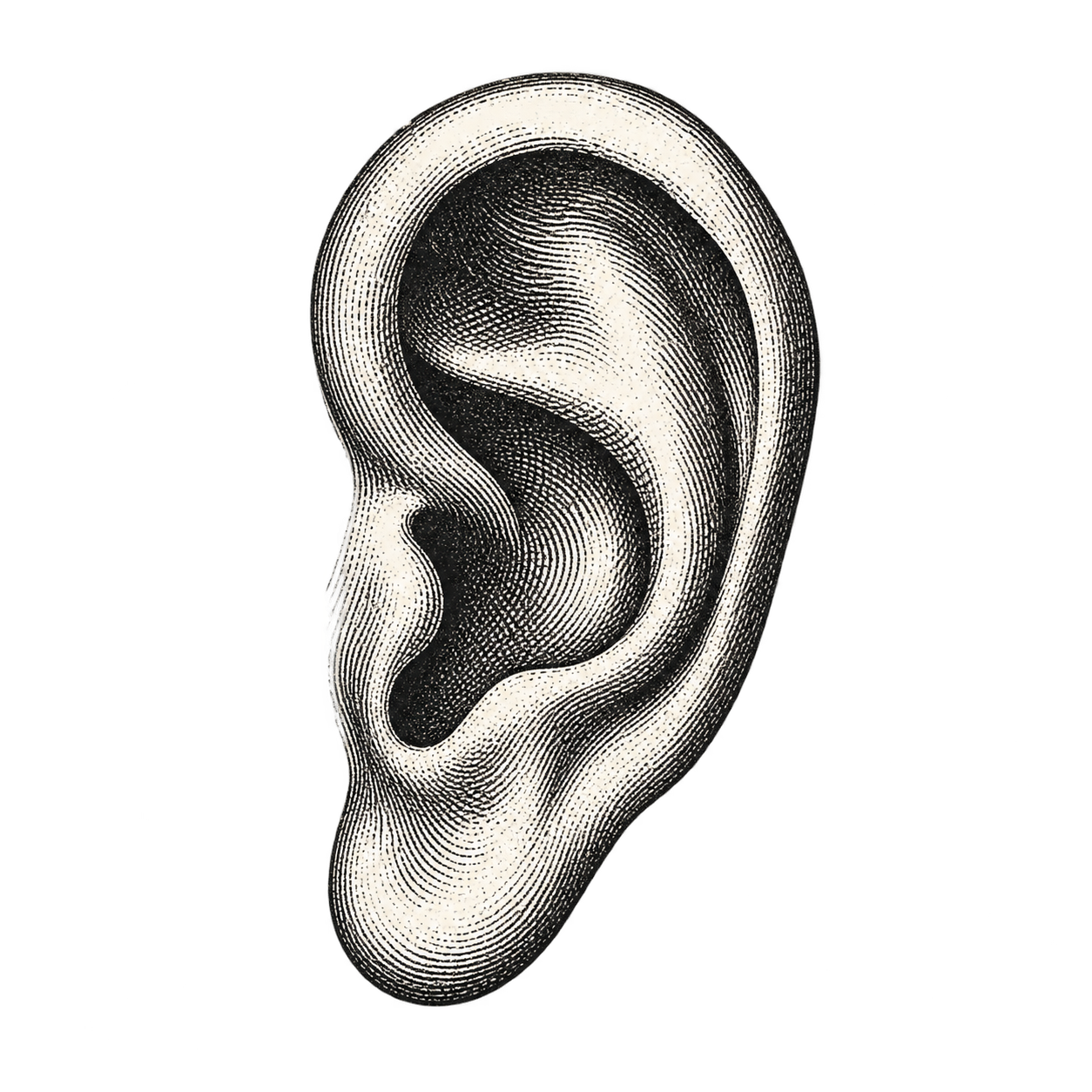 Engraved ear
